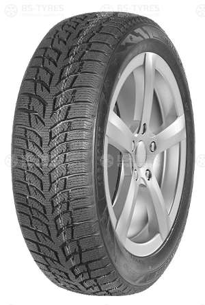 Autogreen Snow Chaser 2 AW08 195/60 R15 88T