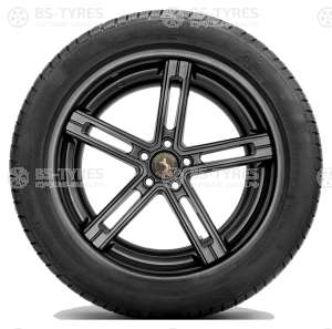 Continental ContiWinterContact TS830P 265/35 R19 98V