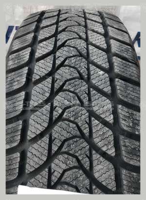 Delinte Winter WD1 195/55 R15 85H