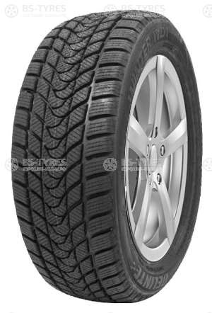 Delinte Winter WD1 195/55 R15 85H