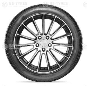 Doublestar DW02 195/60 R15 88T