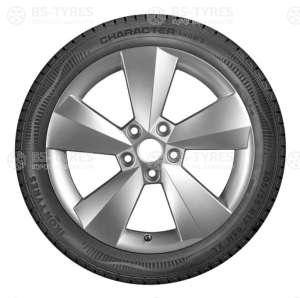Ikon (Nokian Tyres) Character Snow 2 (Nordman RS2) 175/70 R14 88R