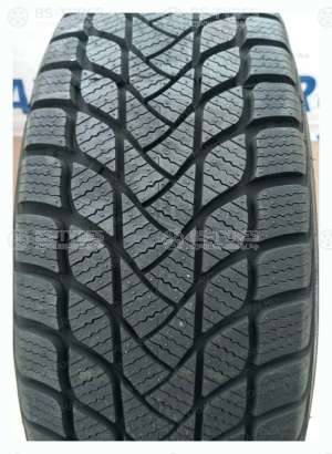 Landsail Winter Lander 195/60 R15 88H