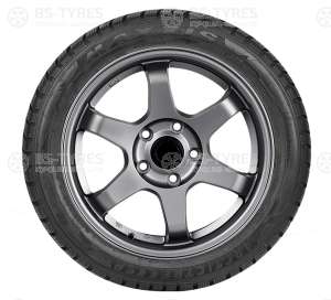 Maxxis WP-05 Arctic trekker 215/65 R17 103V