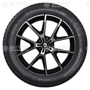 Triangle Snow PL01 215/65 R16 102R