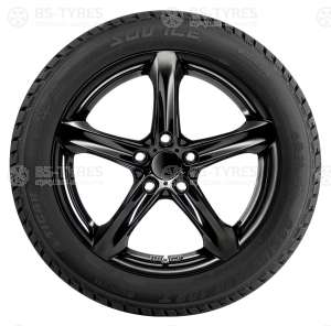 Tigar Ice 215/60 R16 99T