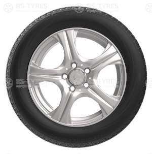 ZMax IcePioneer 868 185/65 R14 86H