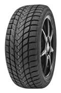 Delinte Winter WD6 195/55 R16 87H